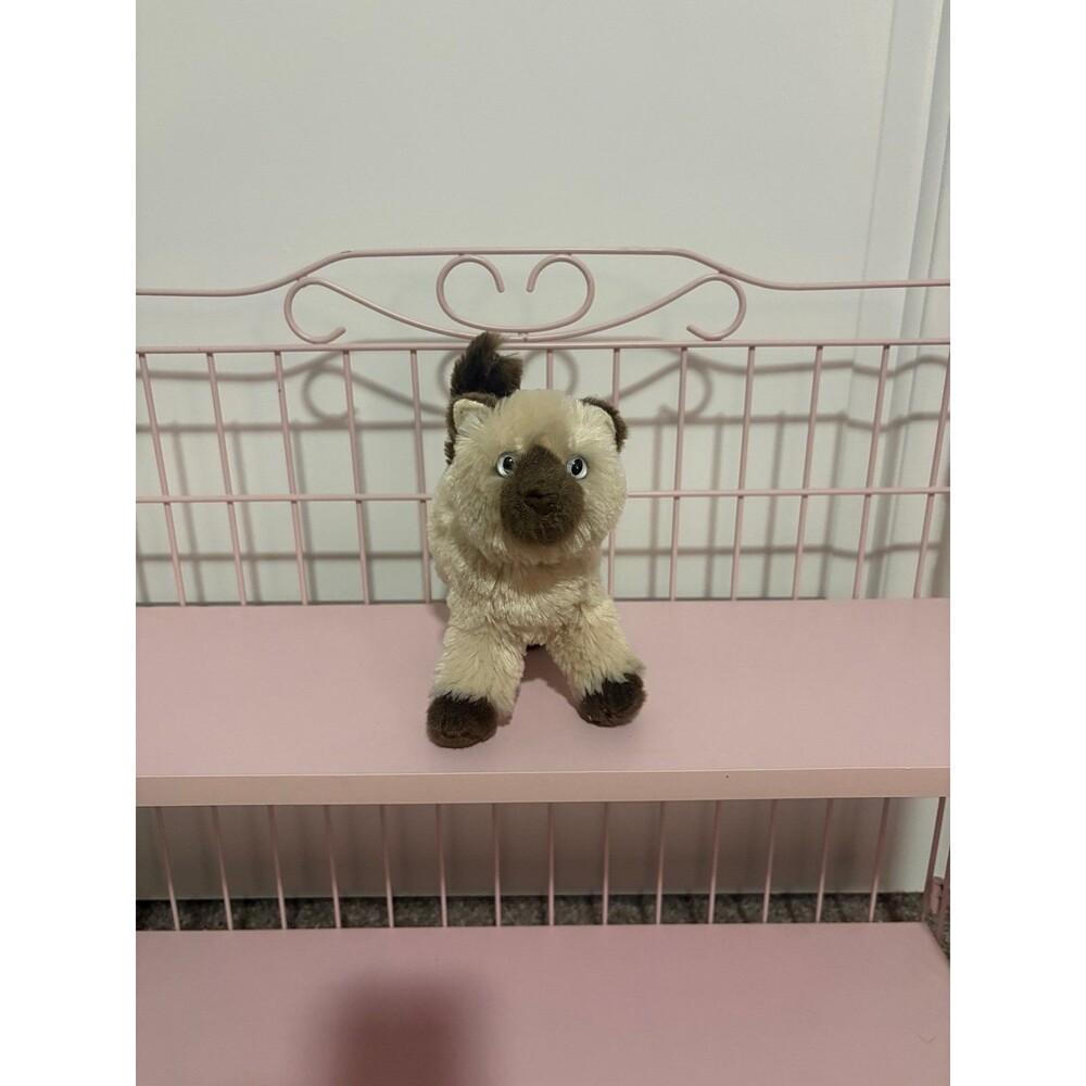 Douglas Hilda himalayan cat